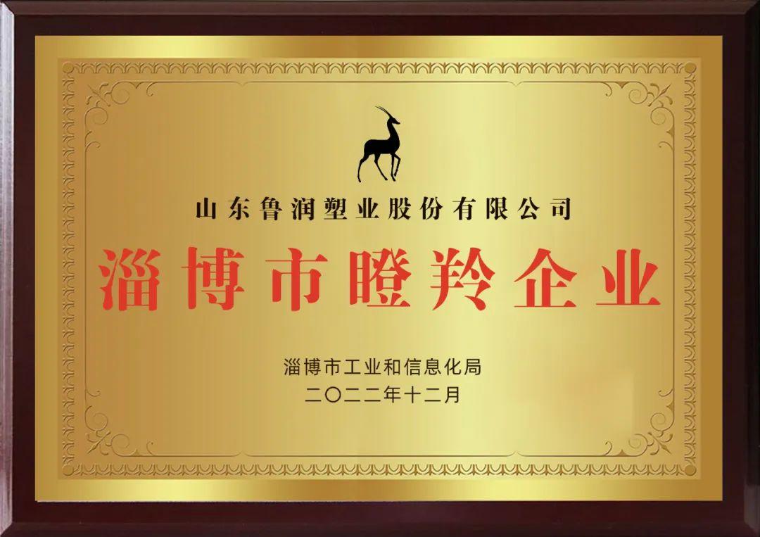 热烈祝贺乐虎lehu游戏塑业成功入选2022年淄博市“瞪羚企业”
